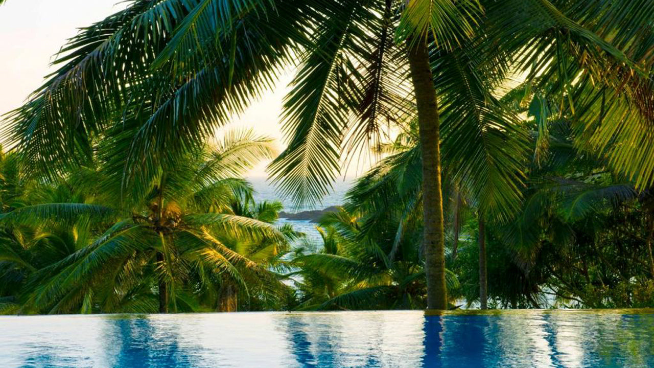 Blue Heights, Dikwella