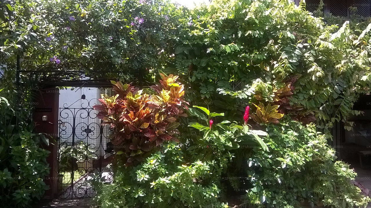 Chelsea Gardens, Colombo