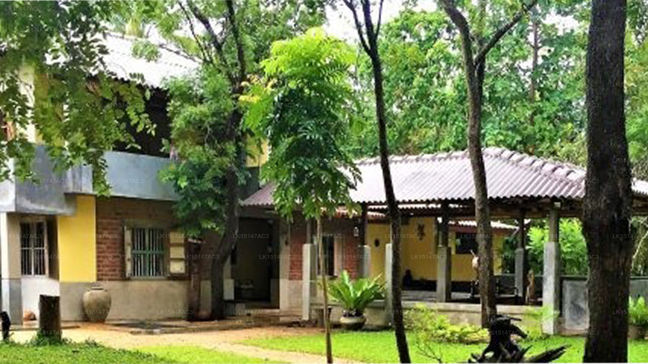 Hiddenside Of Waya Ulpatha, Sigiriya