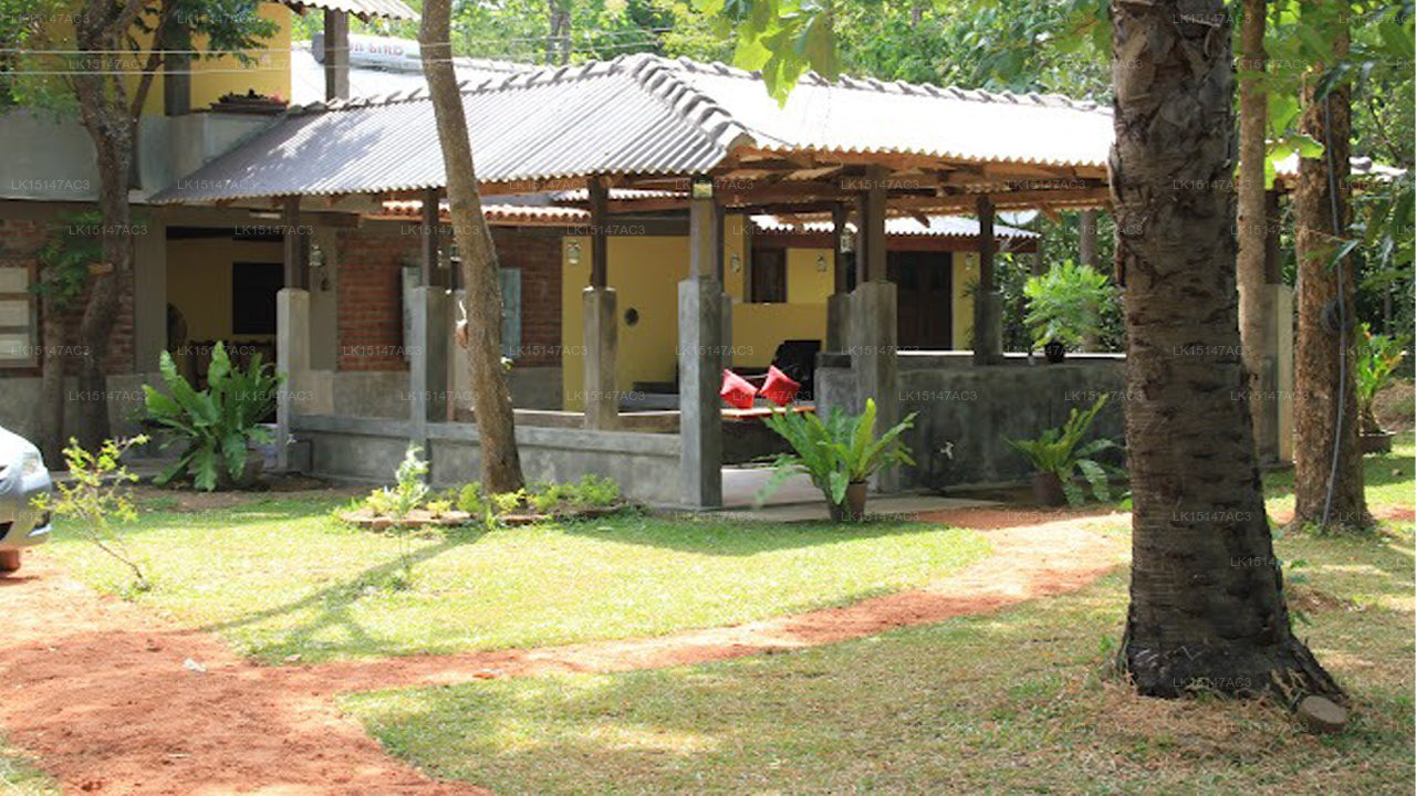Hiddenside Of Waya Ulpatha, Sigiriya