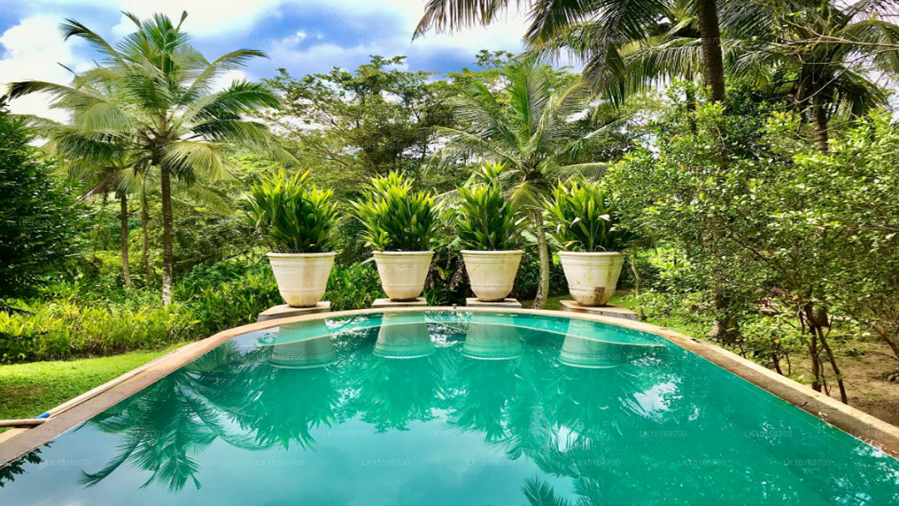 Casa Heliconia, Katunayake