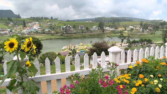 Lake View Comfort Bungalow