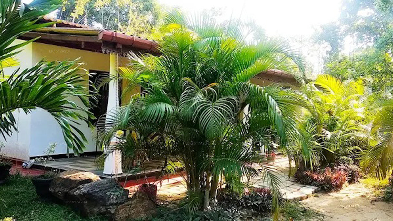 Danara Homestay, Sigiriya