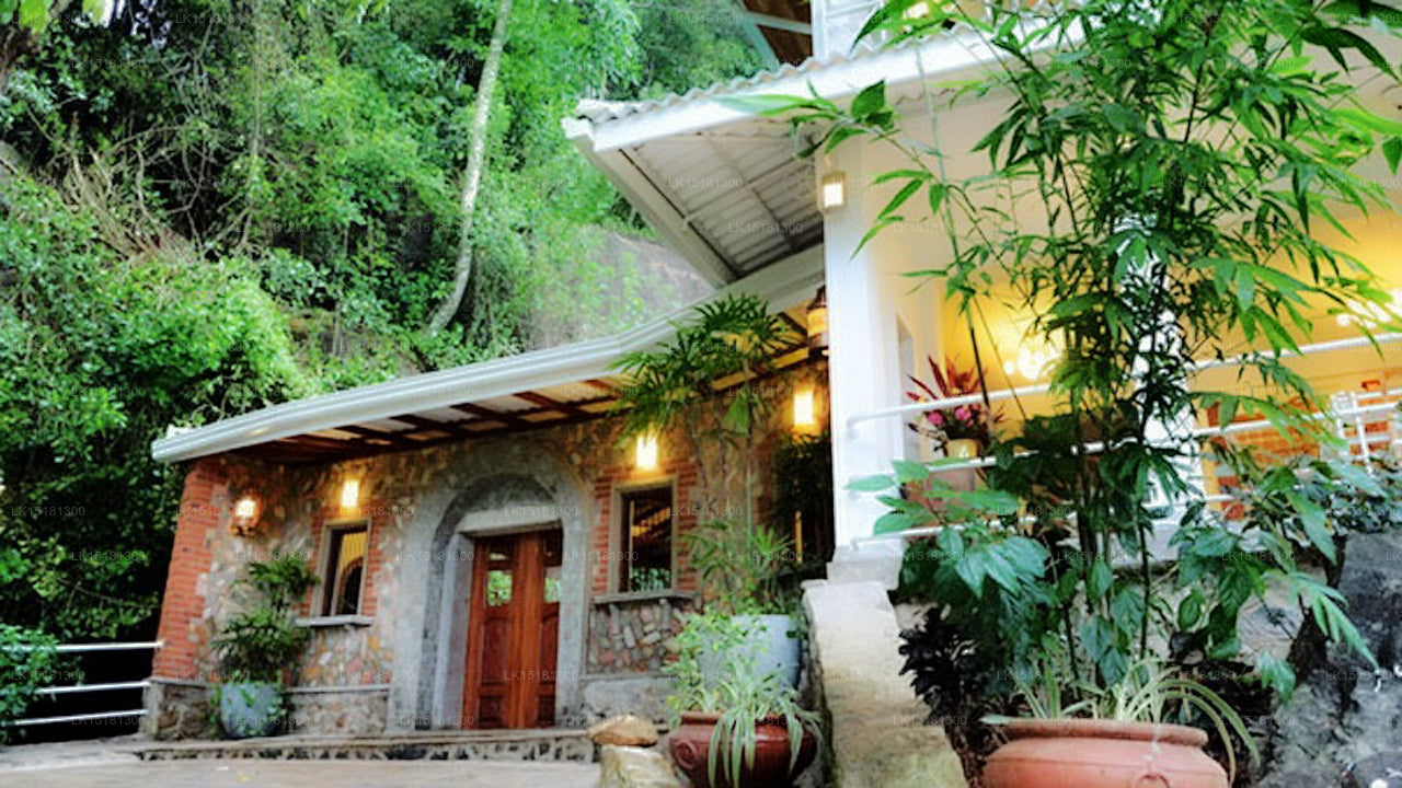 Forest Edge, Kithulgala