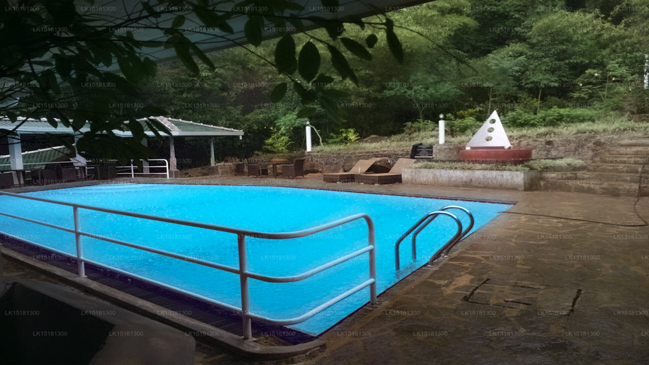 Forest Edge, Kithulgala