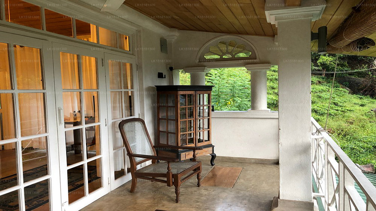 Forest Edge, Kithulgala