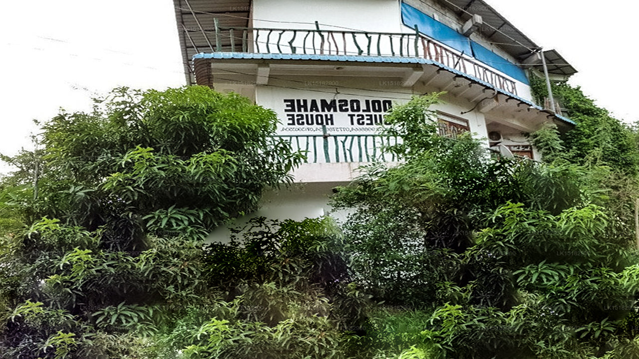 Dolosmahe Guest House, Wilpattu