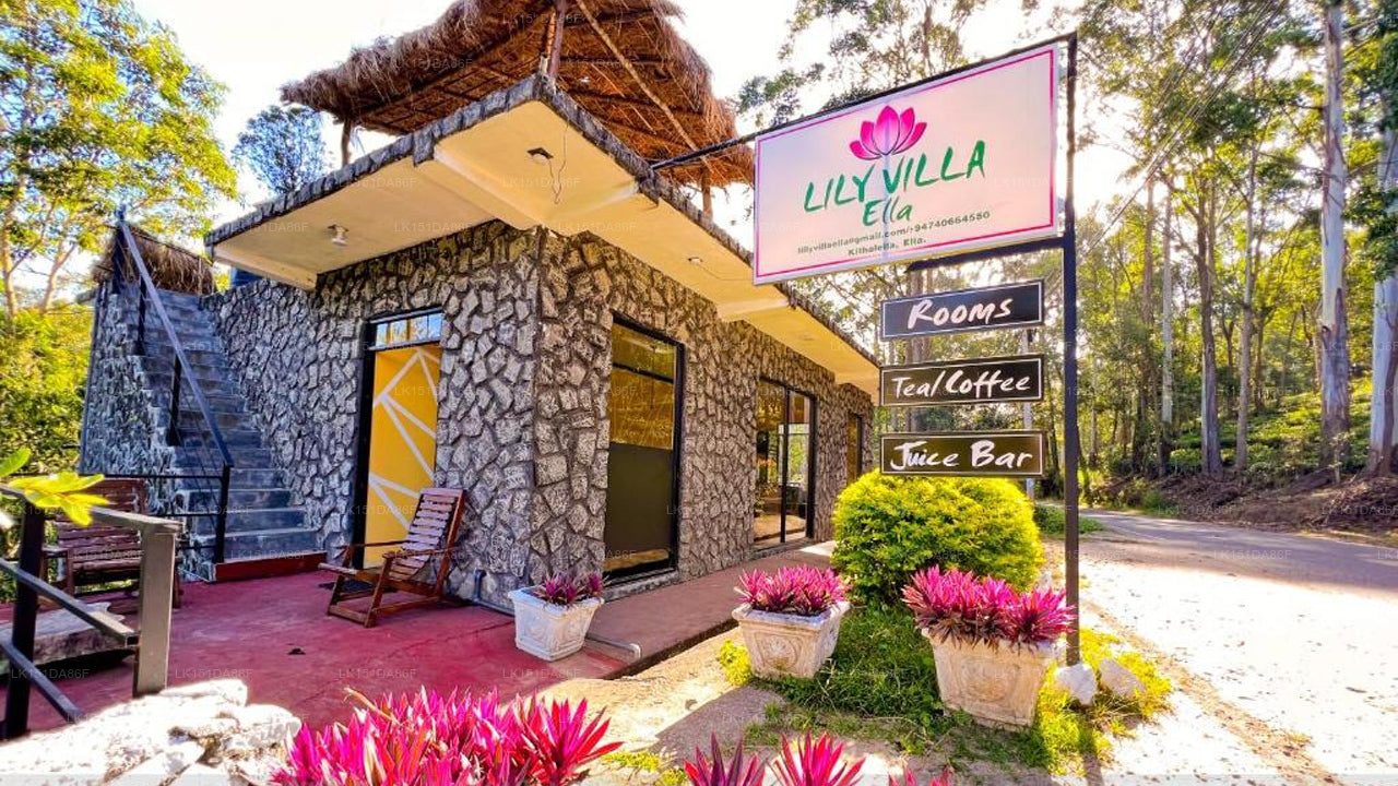 LIly Villa, Ella