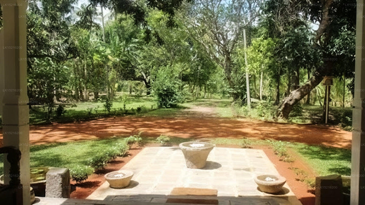 Cadjan sacred, Anuradhapura
