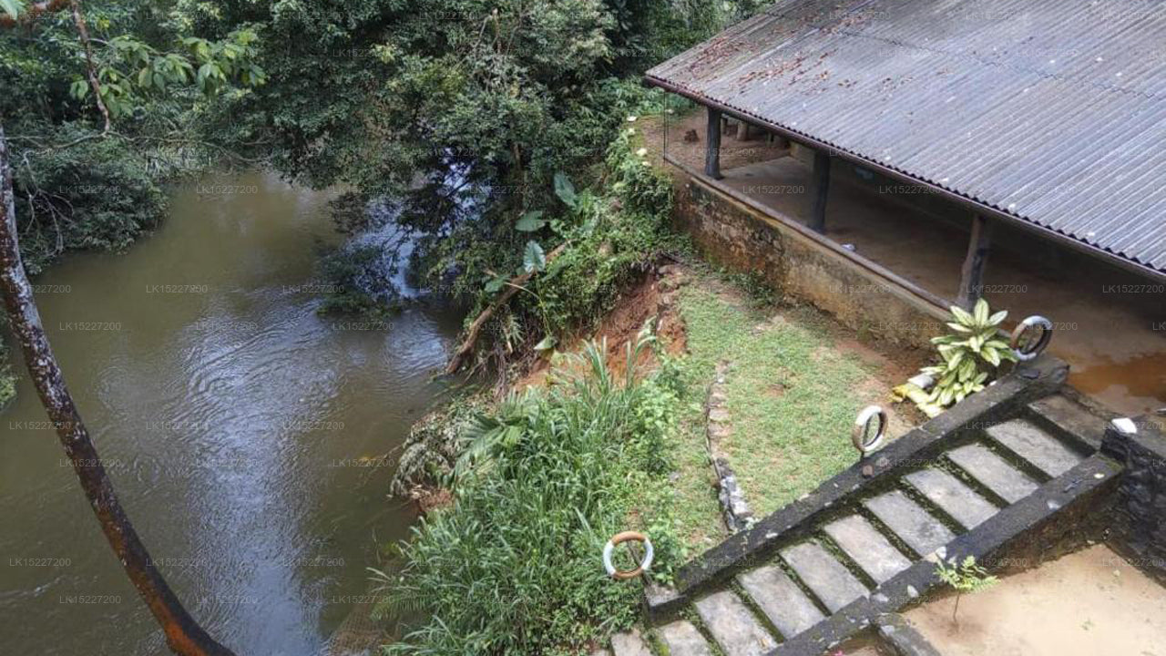 Sinharaja Birders Lodge, Sinharaja