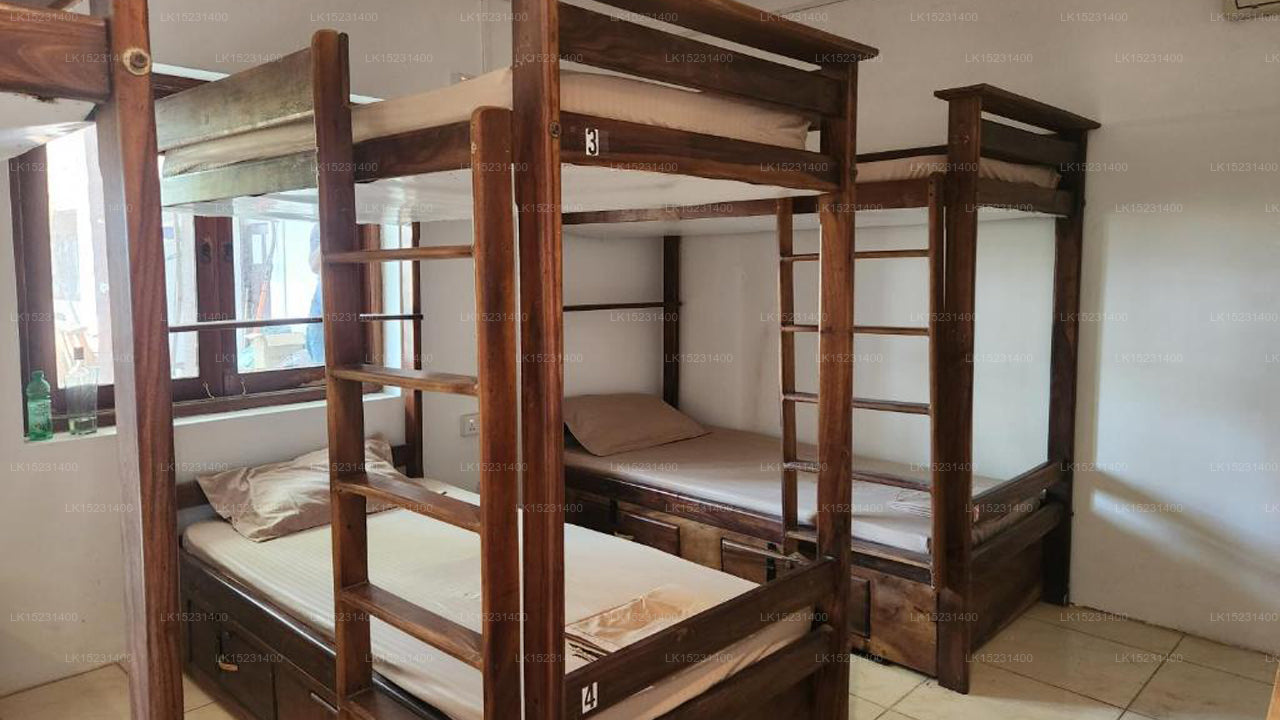 The Arugam Hostel, Arugam Bay