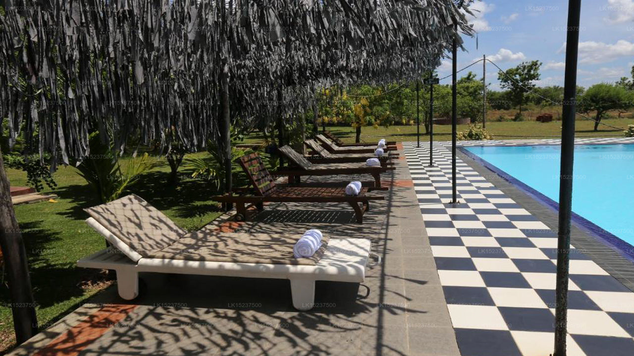 Eco Hotel Black & White, Anuradhapura