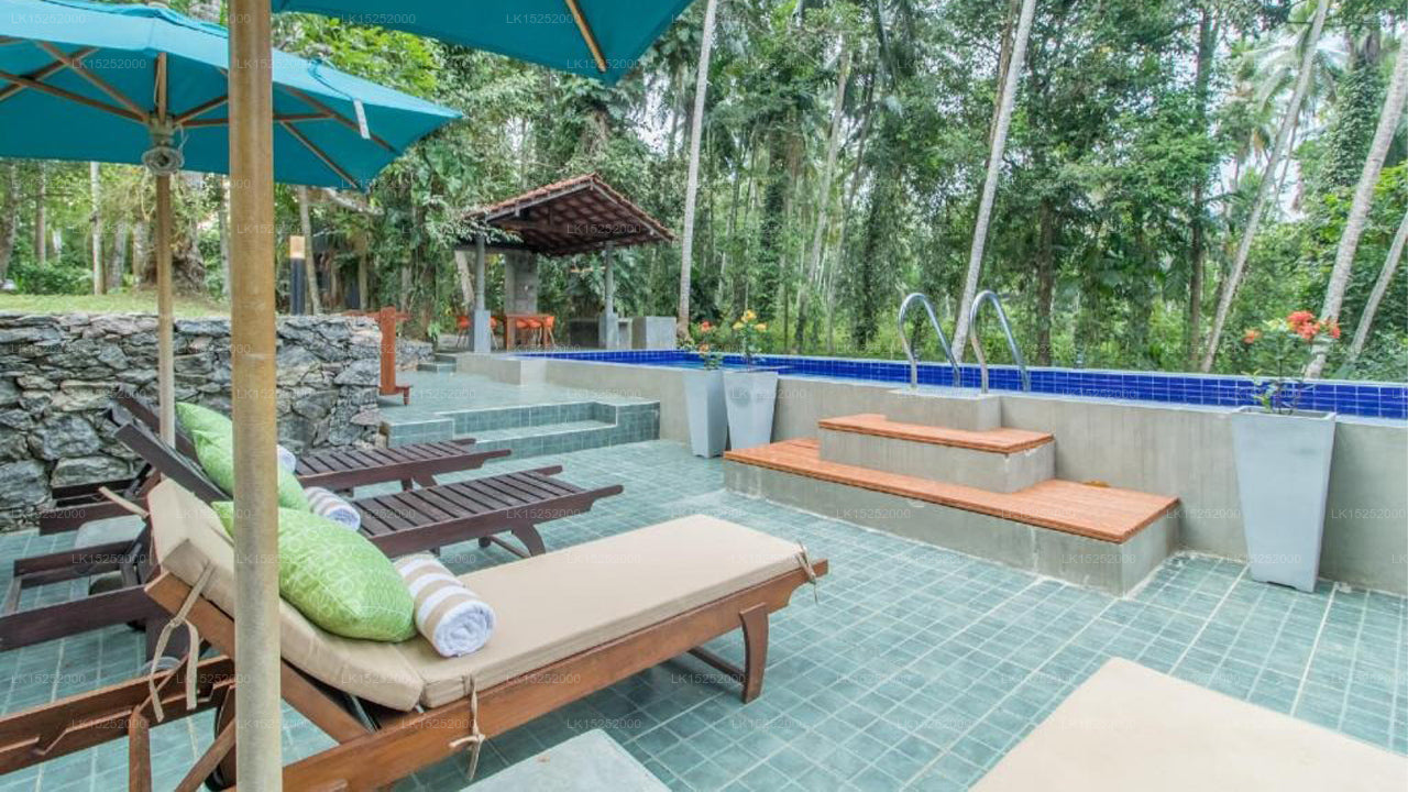 The Pineapple Villa, Gampaha