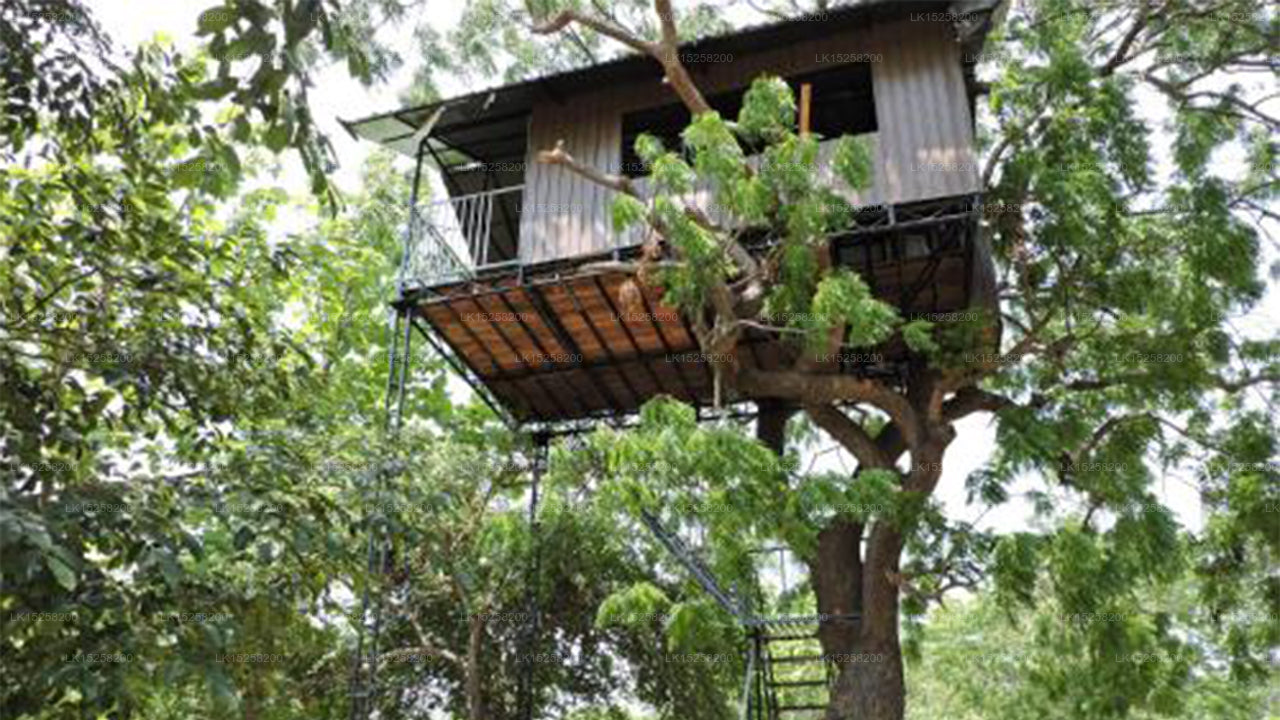 Kakunawela Holiday Resort, Kataragama