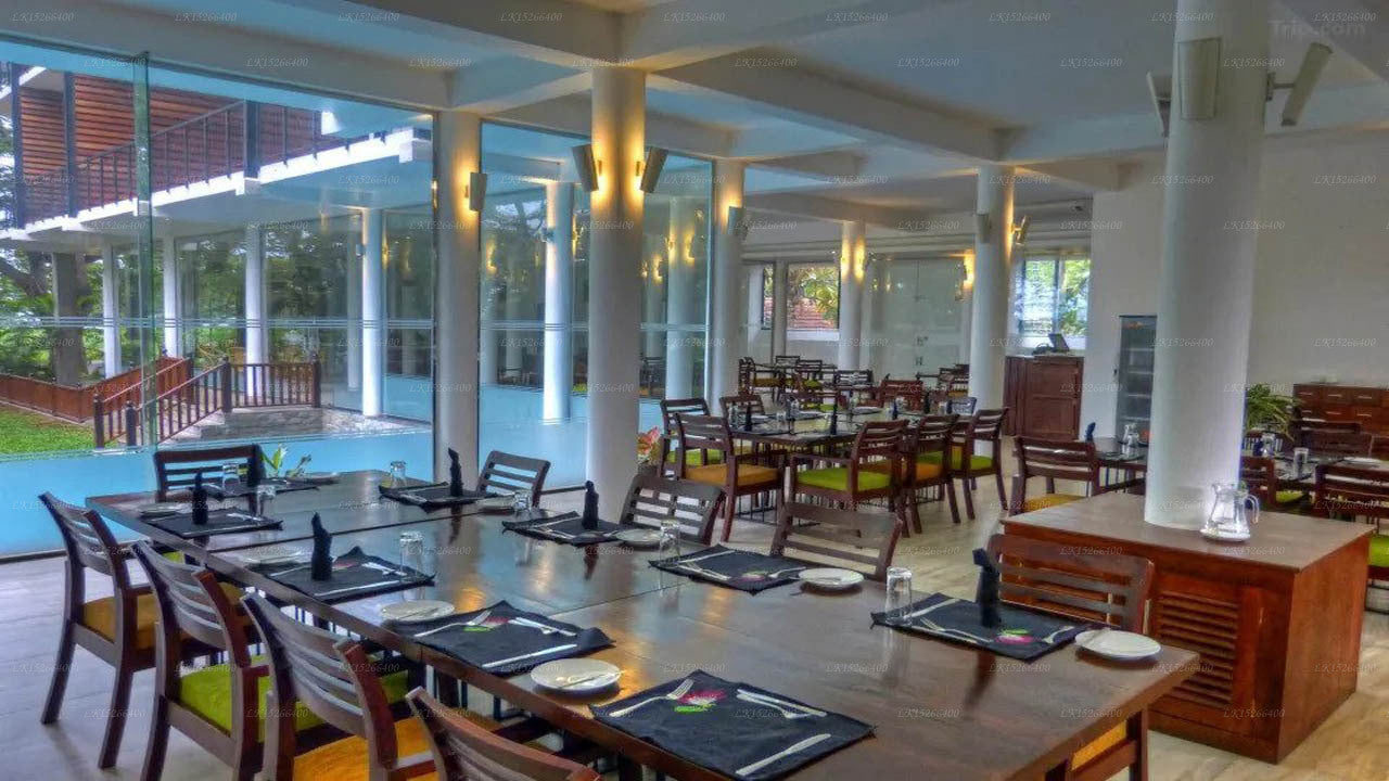 The Rain Tree, Tissamaharama