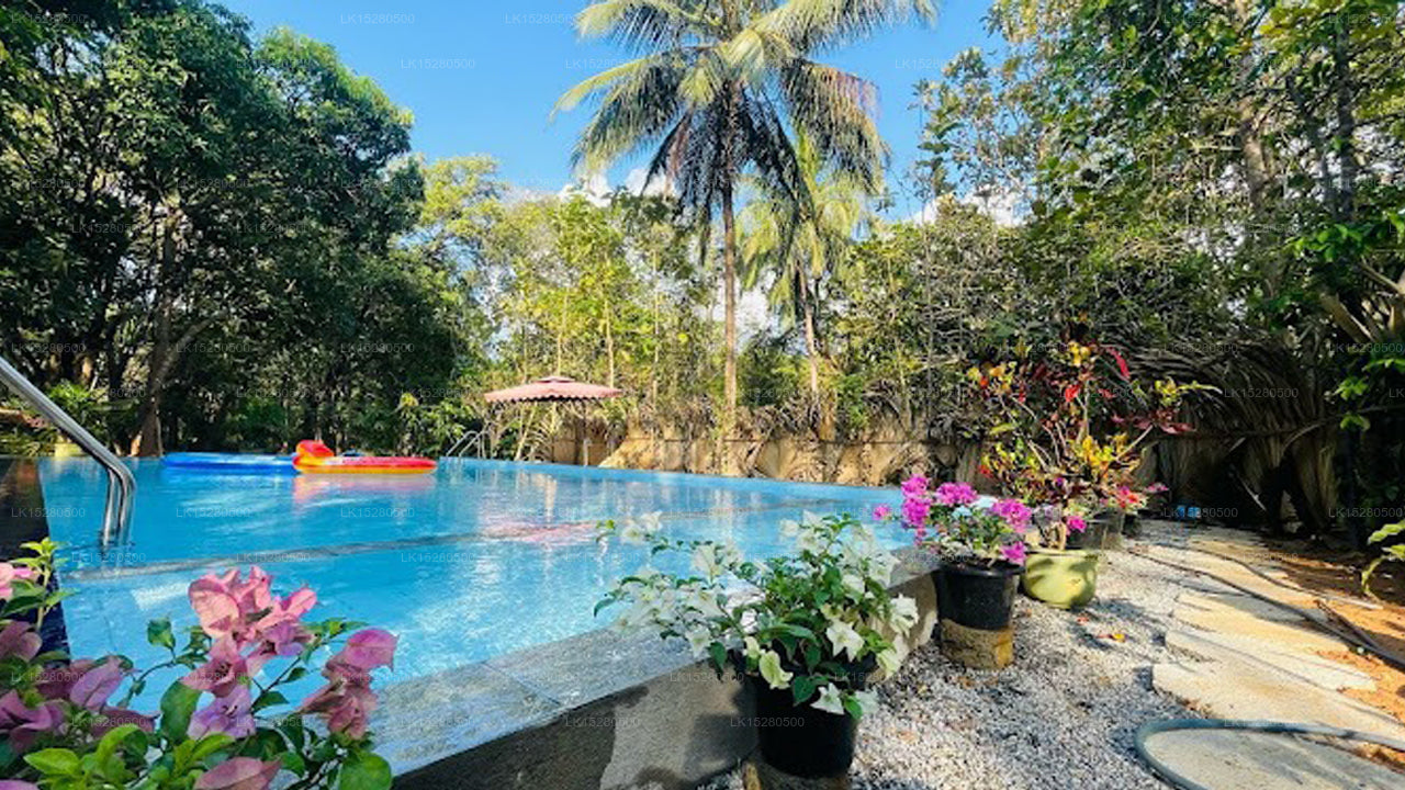 Villa Yoho Lotus Eco Villa, Sigiriya