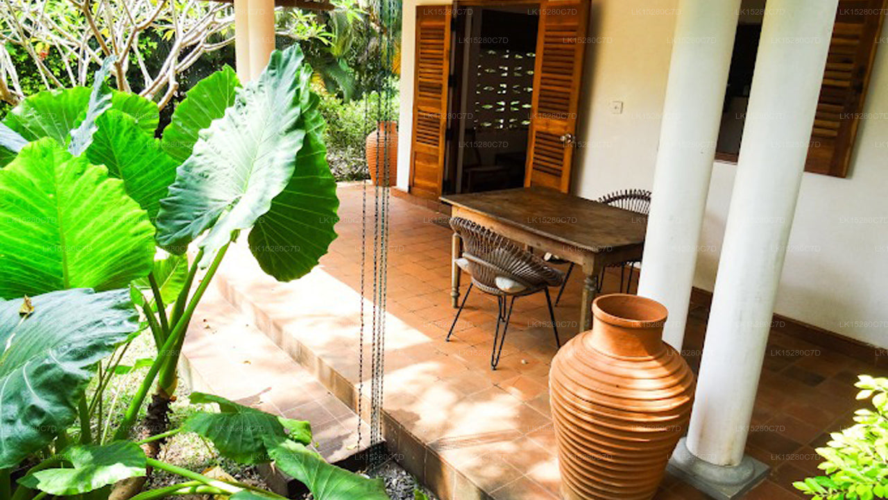 Little Tamarind, Tangalla