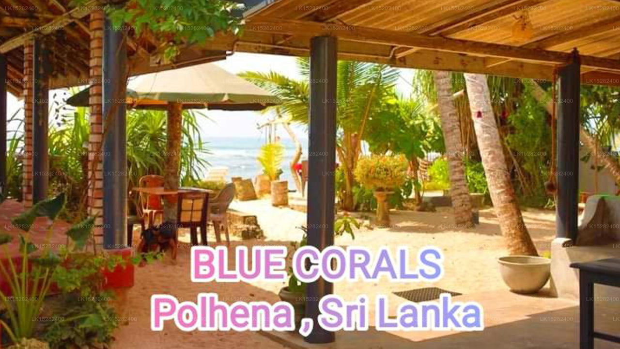 Hotel Blue Corals, Matara