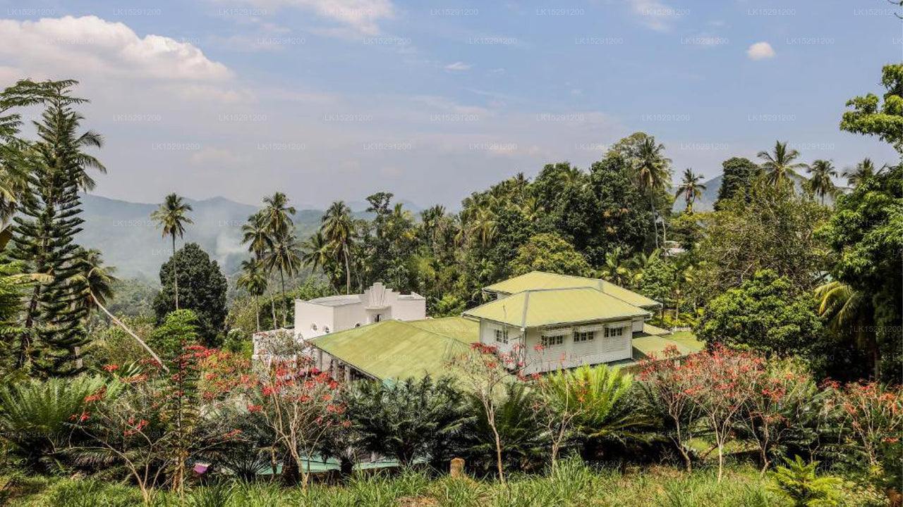 The Flame Tree Estate & Hotel, Kandy