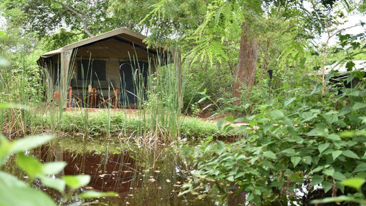 Eco Team Safari Camps, Yala