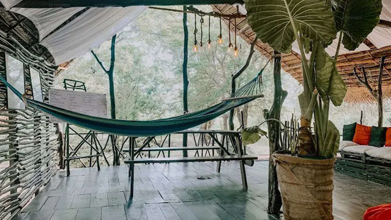 Camp Leopard - Yala Safari Glamping, Yala