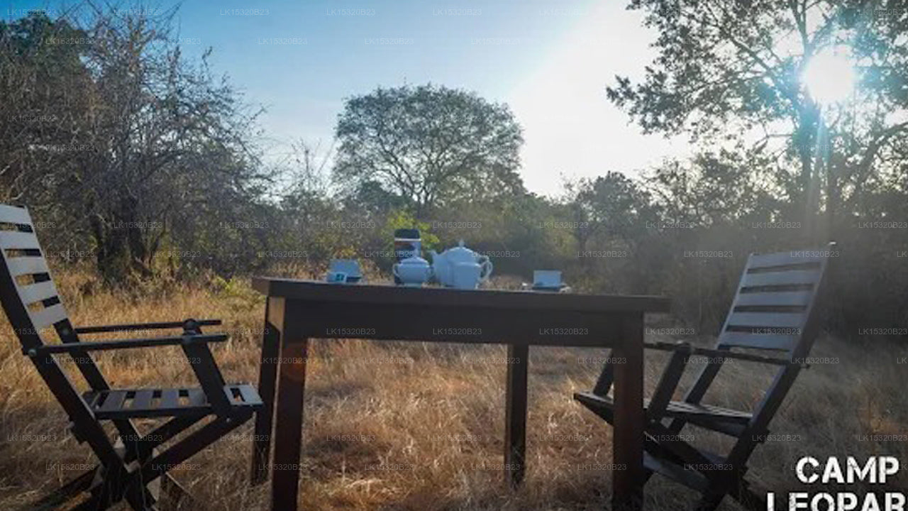 Camp Leopard - Yala Safari Glamping, Yala