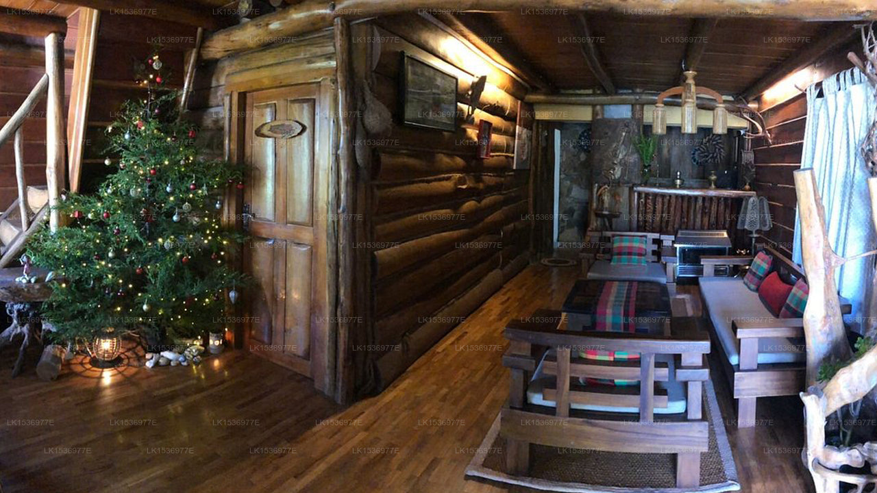 The Log, Nuwara Eliya