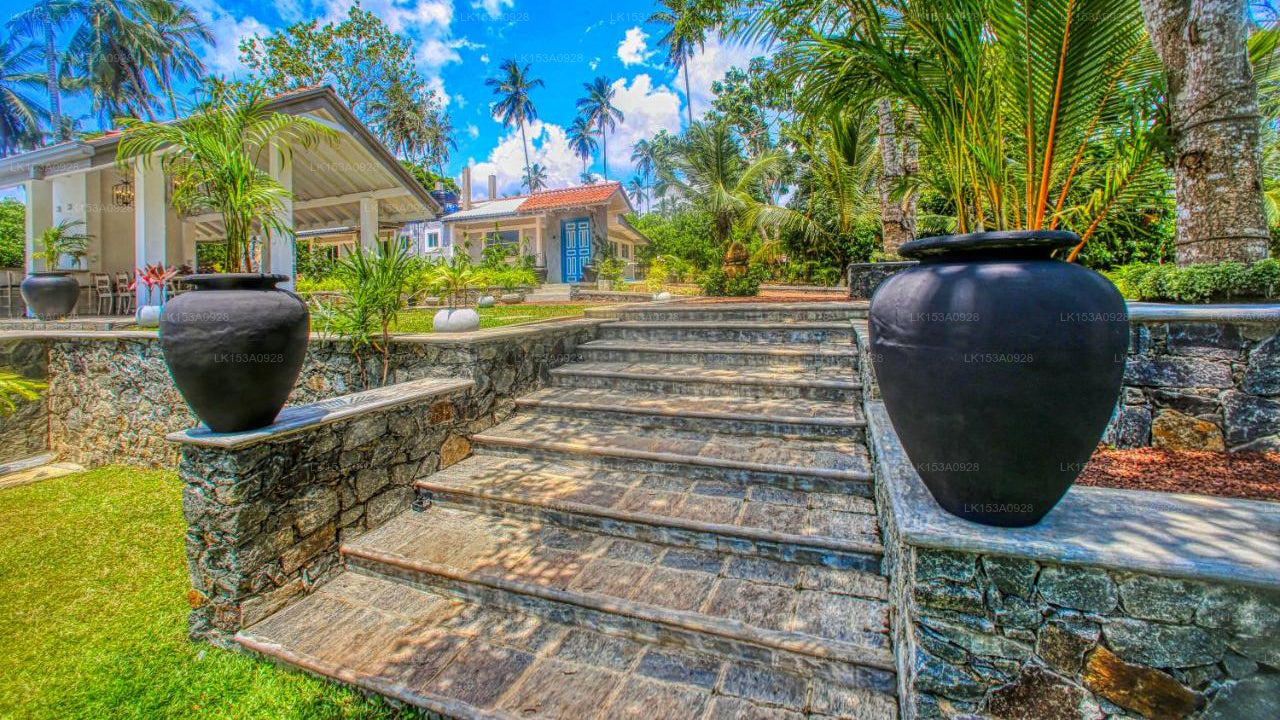 The Niche by DBI, Hikkaduwa