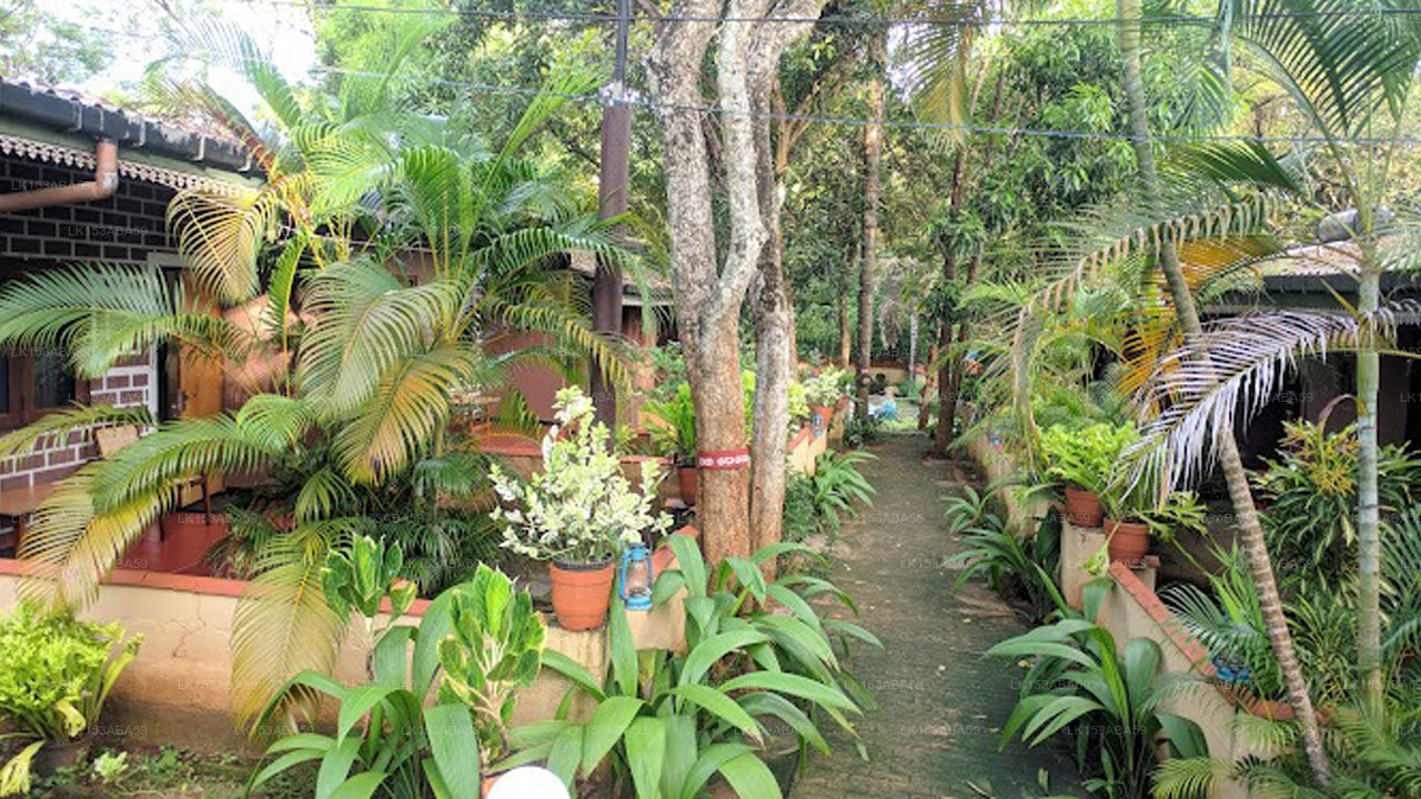 Udawalawe Safari Vallage Hotel, Udawalawe