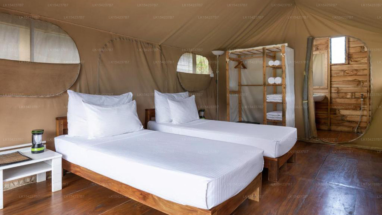 Wild Glamping Knuckles