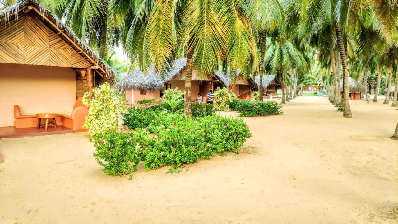 Roshanne Beach Resort, Kalpitiya