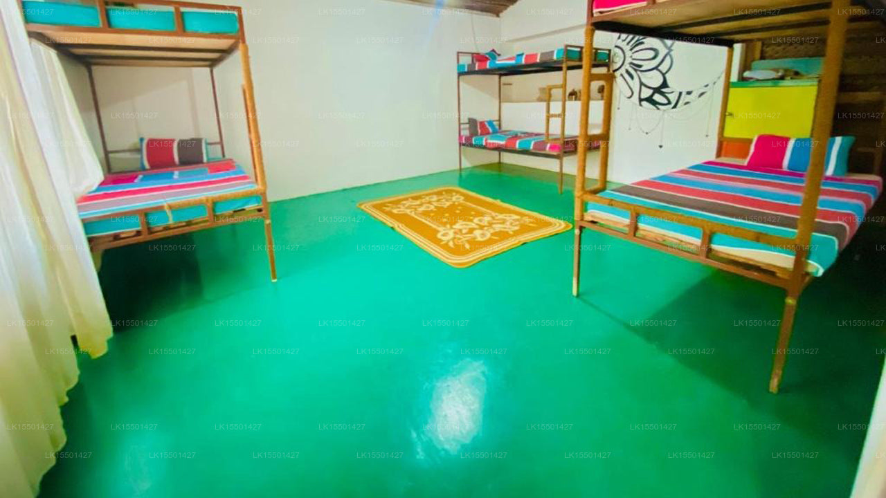 Reggae paradise hostel, Sigiriya