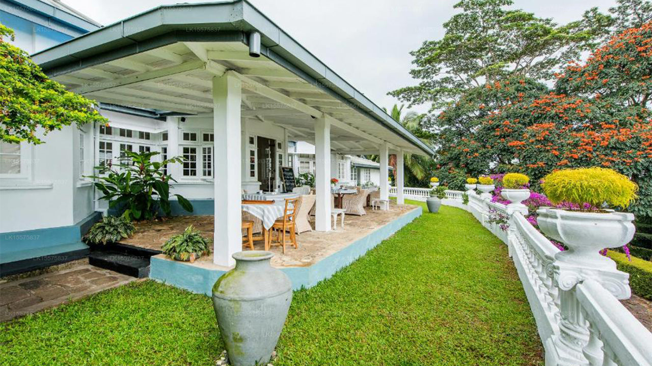 Ashburnham Estate, Kandy City