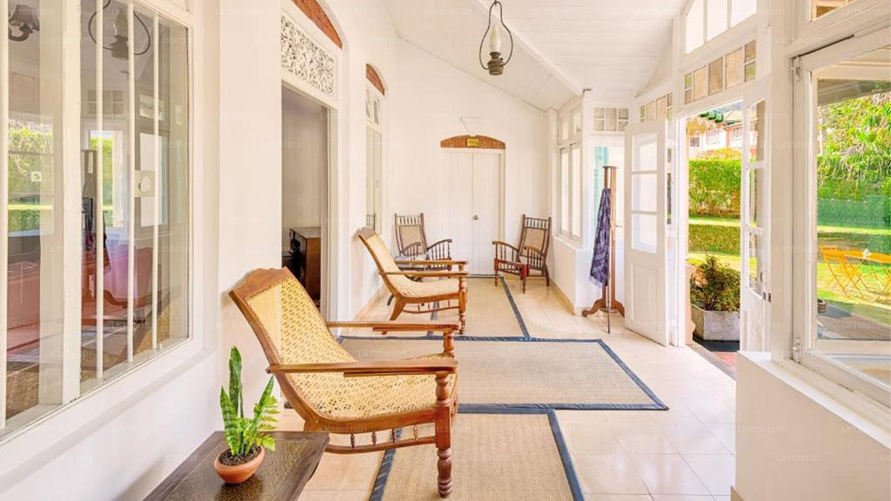 Living room with wooden chairs, a rug, and large windows.