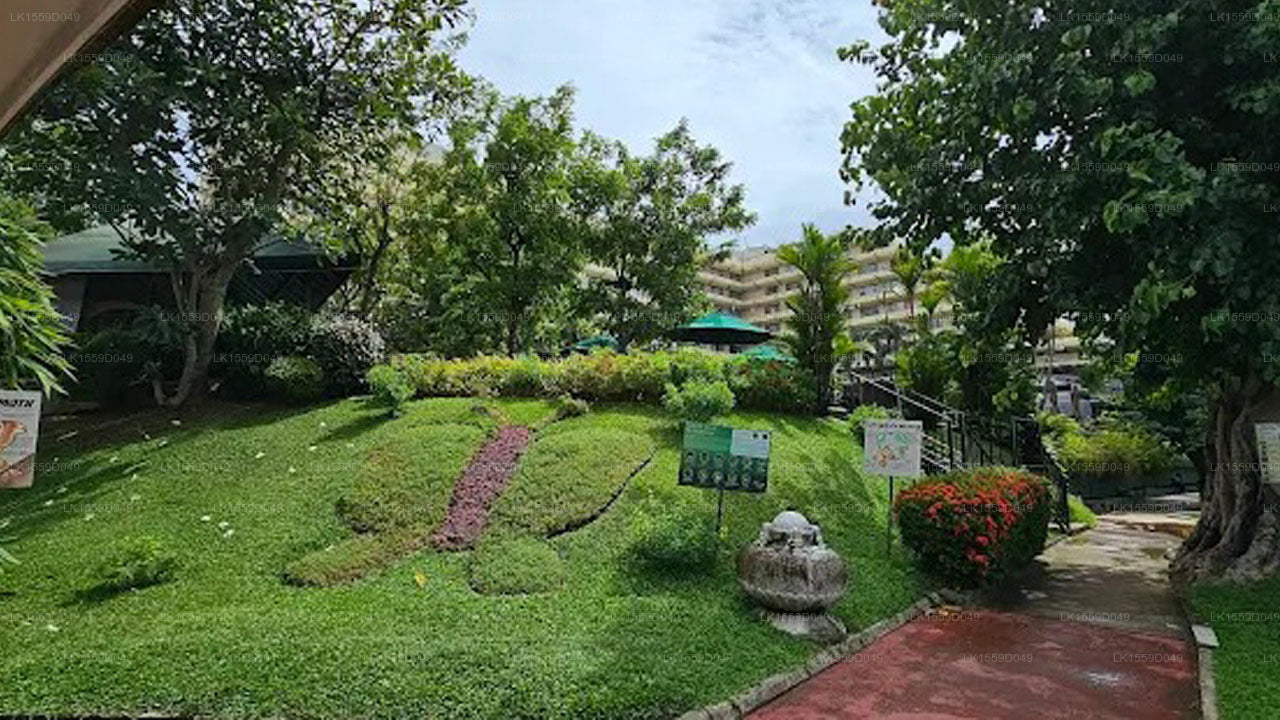 Cinnamon Trails, Colombo