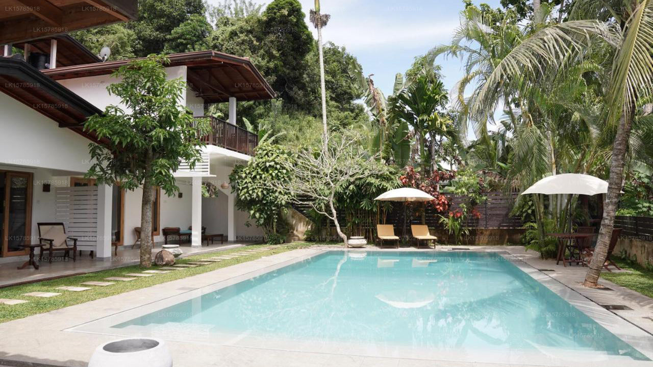 The Secret Guesthouse, Mirissa