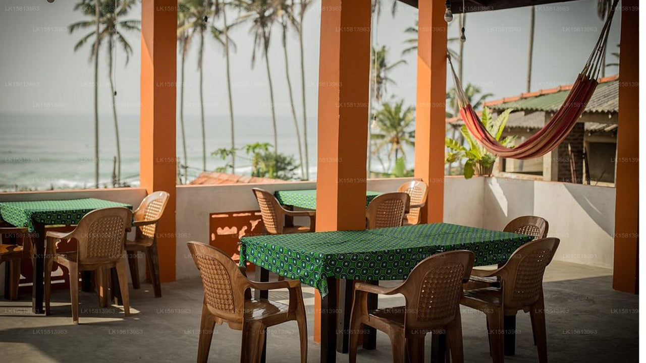 Coco Plant Surf Inn, Midigama