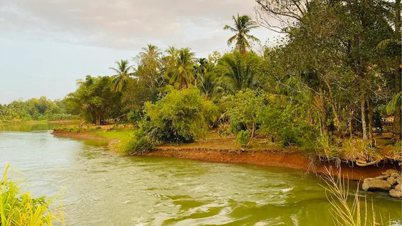 Countryside farming by Athgira, Udawalawe