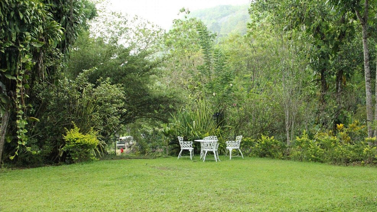 Clunes Villa Real, Dehiowita