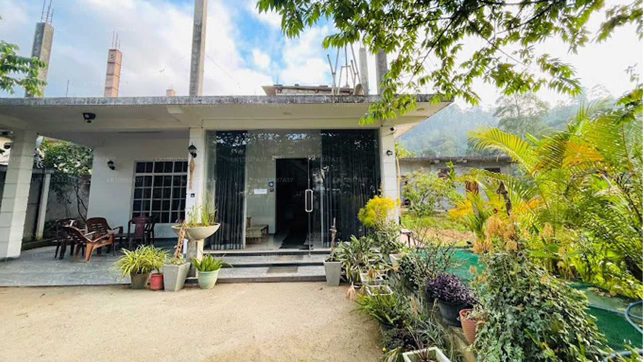 Whale Watching from Weligama on Shared Boat