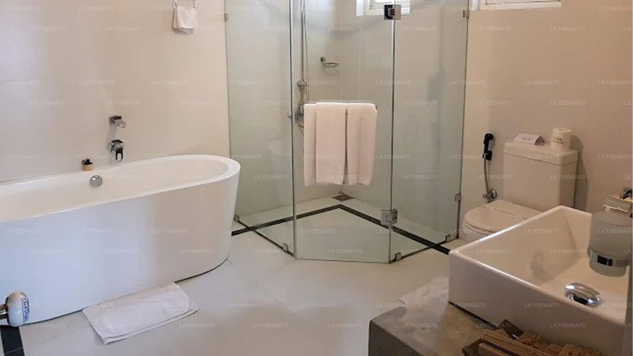 The Secret Kandy, Kandy