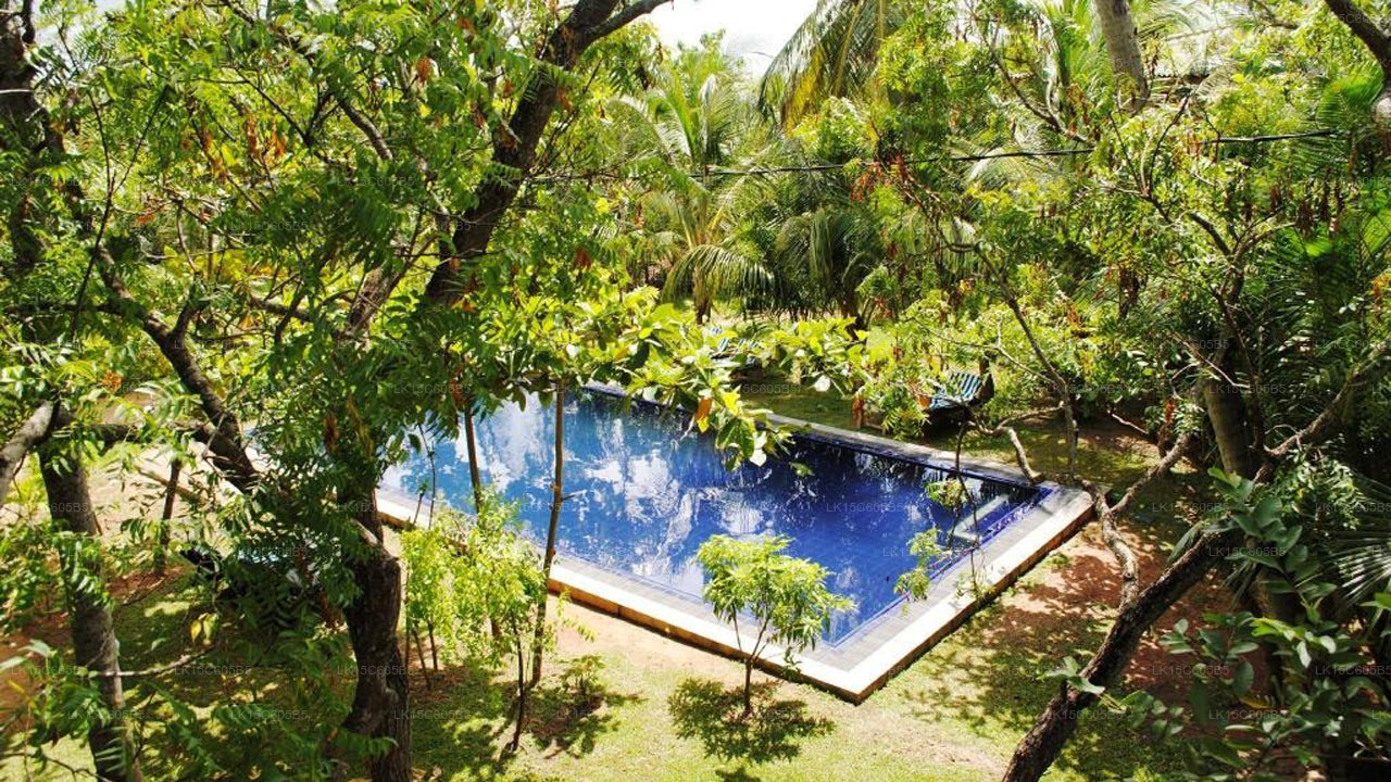 Peacock Land, Tangalle