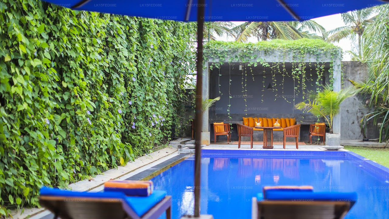 Saffron & Blue, Kosgoda