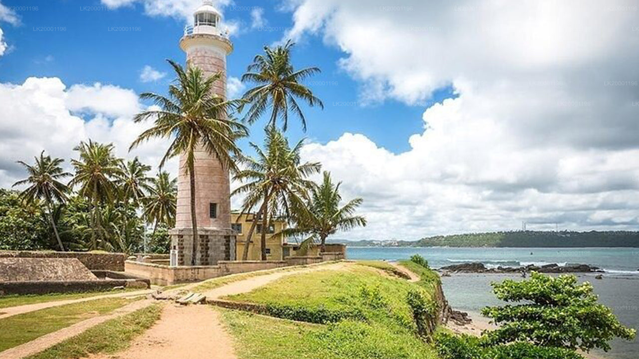 Visita guidata del Forte di Galle con biglietto d'ingresso incluso.