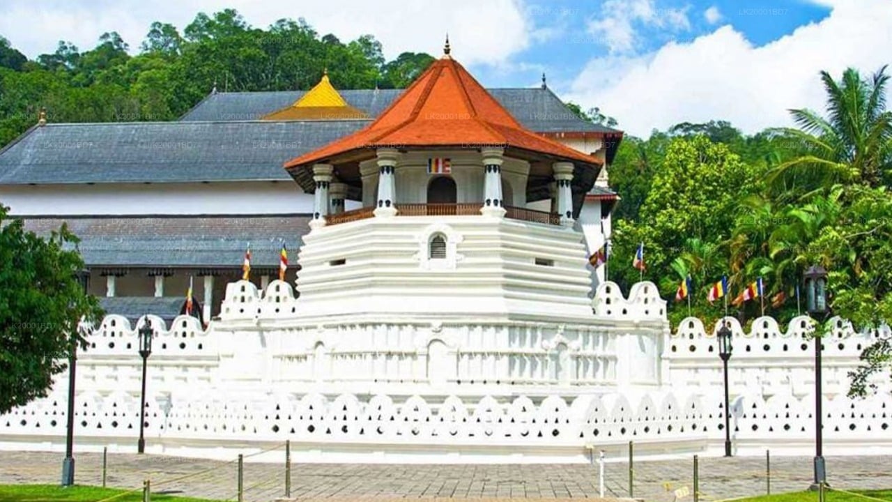 Temple of The Sacred Tooth Relic Guided tour with entrance tickets