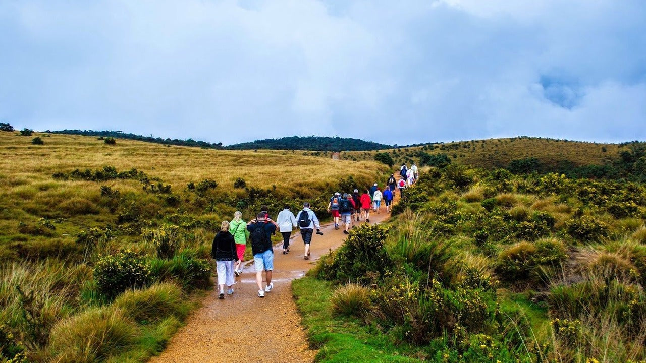 Visita guidata del Parco Nazionale di Horton Plains con biglietti d'ingresso inclusi.