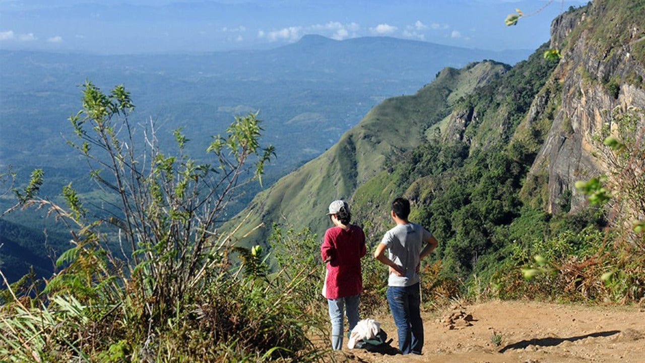 Visita guidata del Parco Nazionale di Horton Plains con biglietti d'ingresso inclusi.