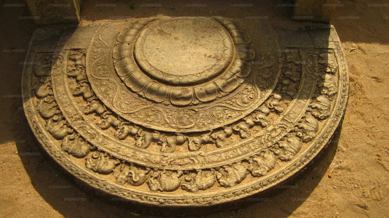 Visita guidata dell'antica città di Polonnaruwa con biglietto d'ingresso incluso.