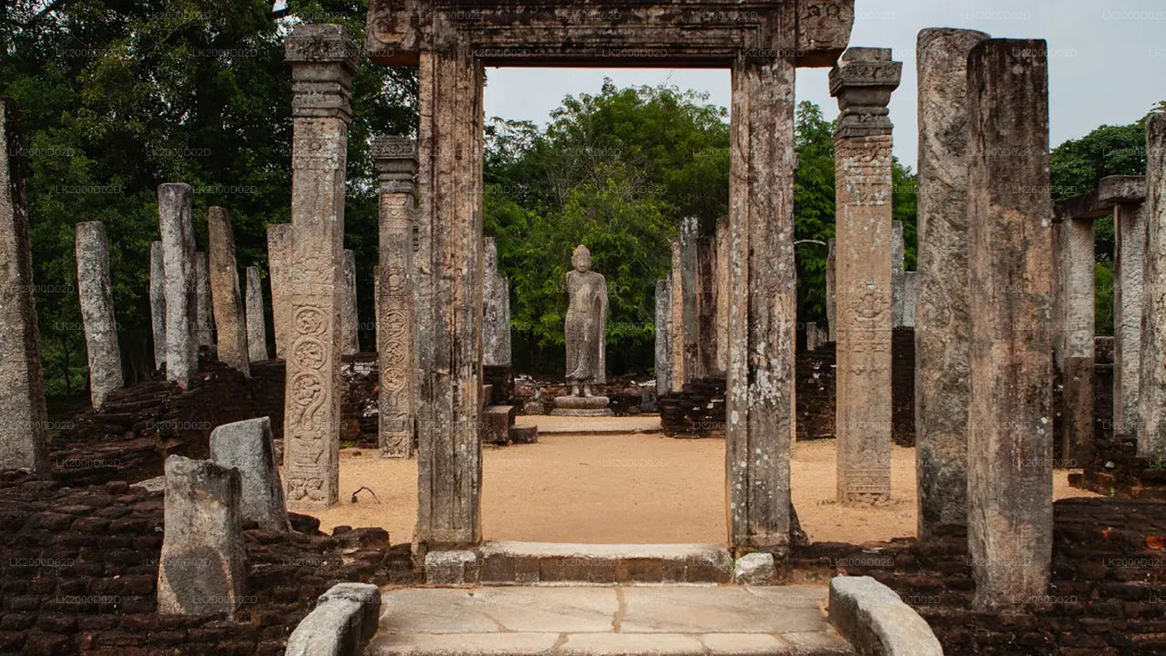 Visita guidata dell'antica città di Polonnaruwa con biglietto d'ingresso incluso.