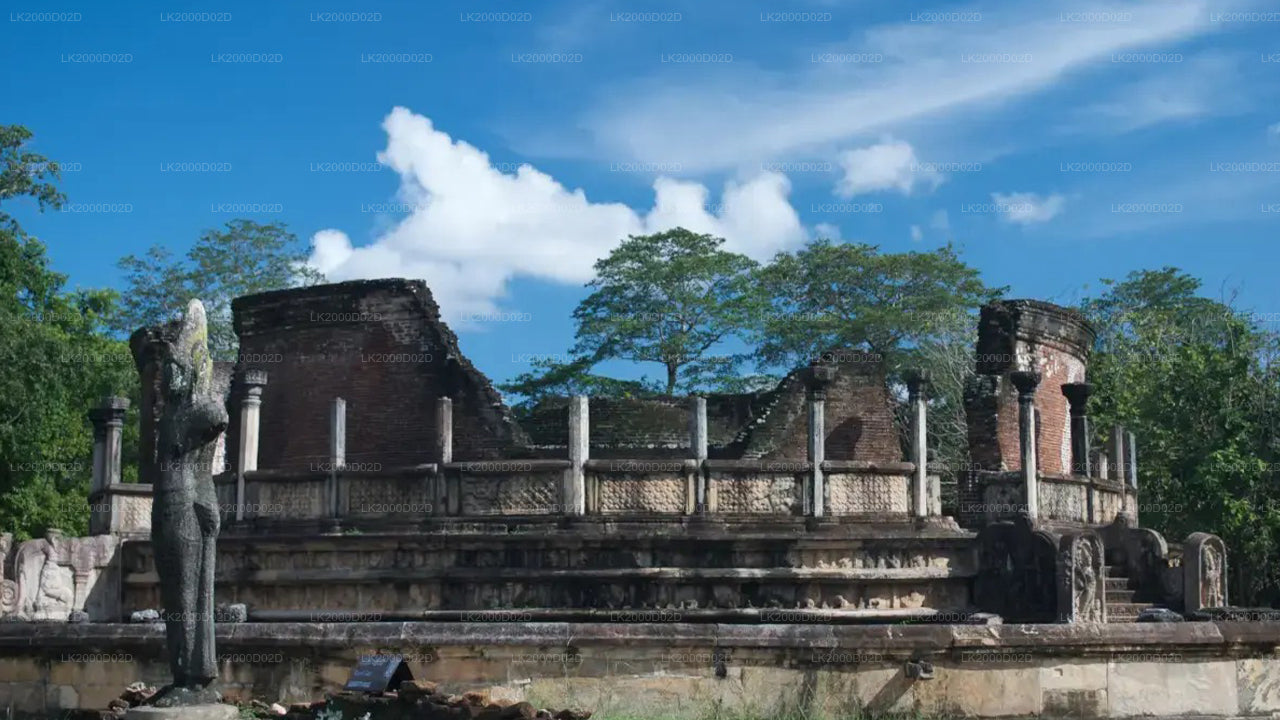 Visita guidata dell'antica città di Polonnaruwa con biglietto d'ingresso incluso.